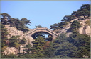 Le petit pont