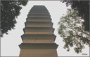 Pagode de l'oie sauvage