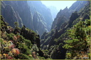 Paysage