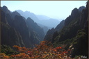 Paysage