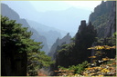 Paysage