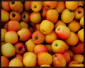 Caisse de pommes 