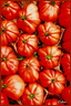 Tomates