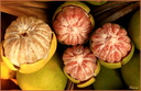 008 Pomelos