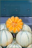 Melon