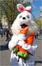 Marché médiéval de Compiègne