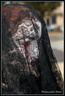 Zombie Walk ROUEN 2017