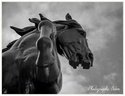 La tete dans les nuages