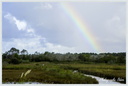 Arc-en-ciel