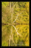 Reflet