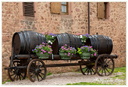 Riquewihr