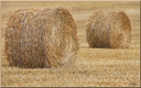 Région Bretagne