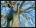 Les Jardins du Sculpteur Jean-Marc de Pas